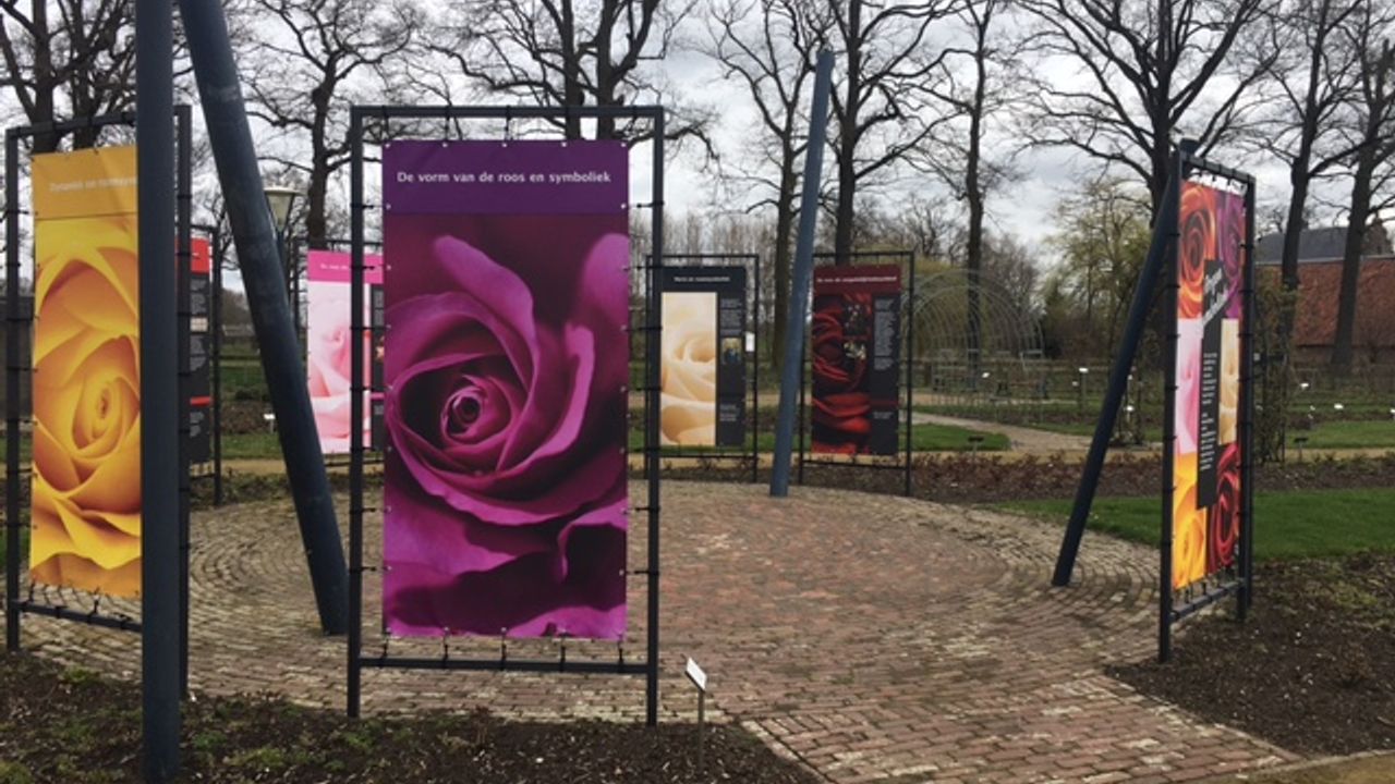 Nieuwe tentoonstelling over rozen symboliek
