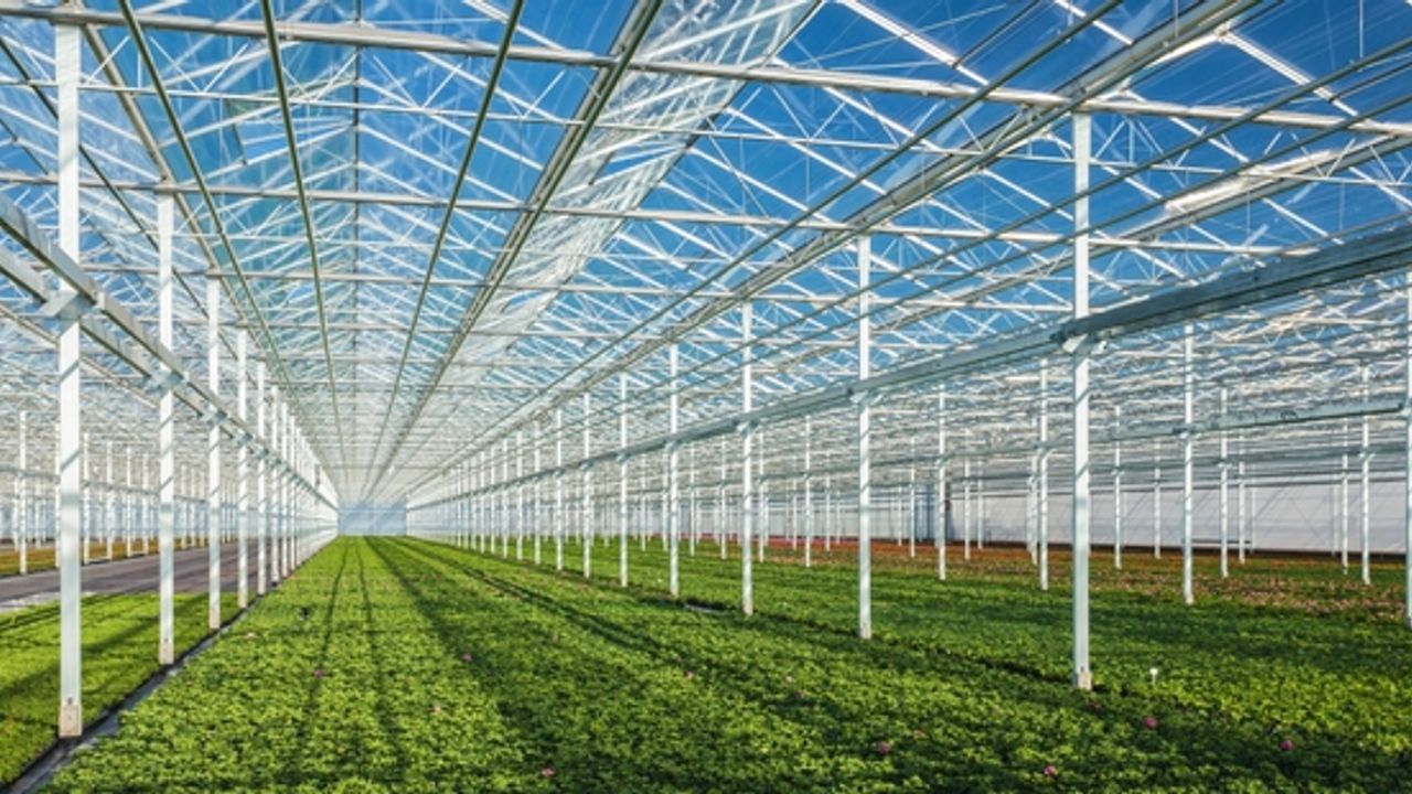 Glastuinbouw: Haagse energiesteun helpt 'niet tot marginaal'