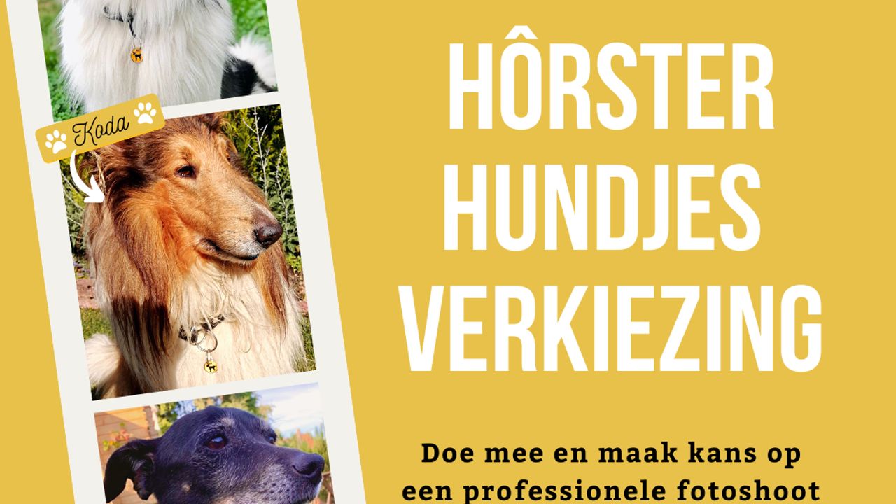 Horst Centrum organiseert de Hôrster Hundjes Verkiezing