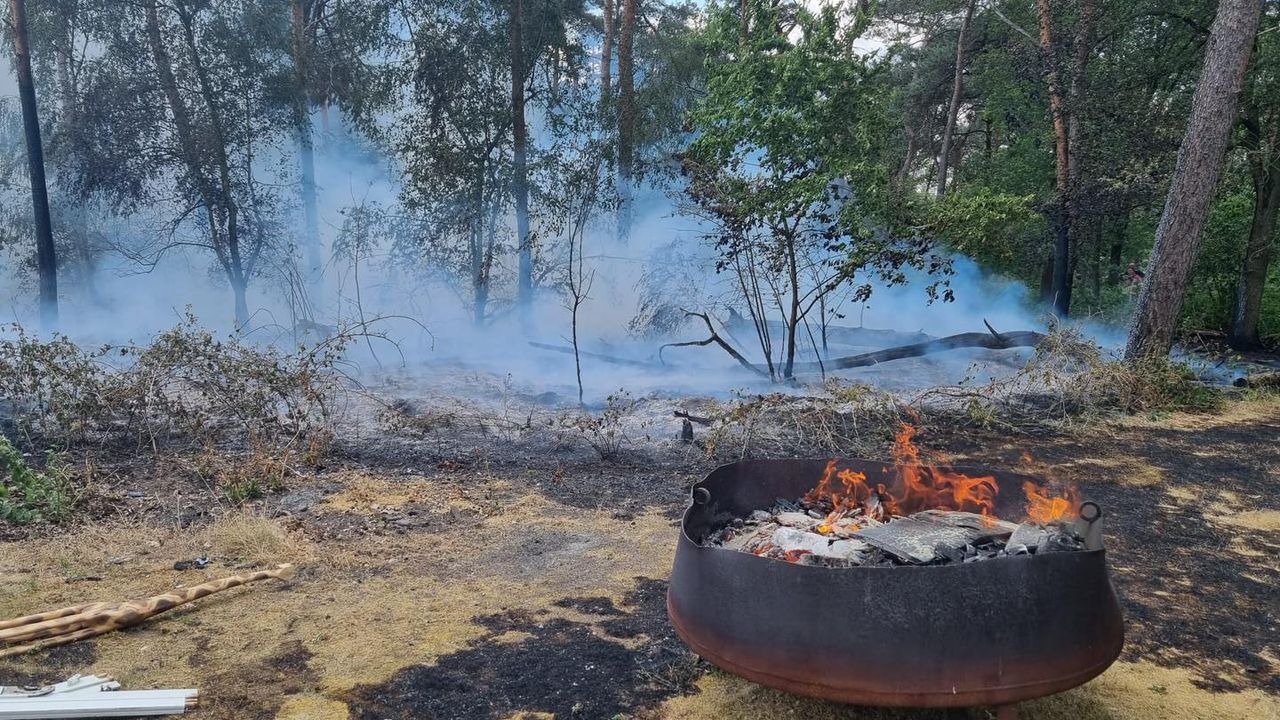 Vuurkorf mogelijk oorzaak van honderden vierkante meters brand in bos in Lottum