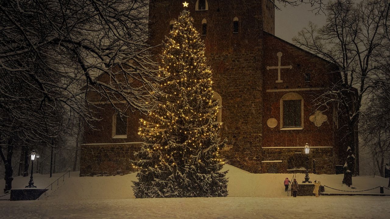 Toch kerstboom in kernen Horst aan de Maas