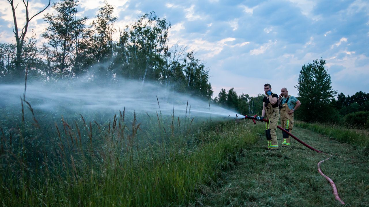 Brandweer krijgt speciale eenheid tegen bosbranden