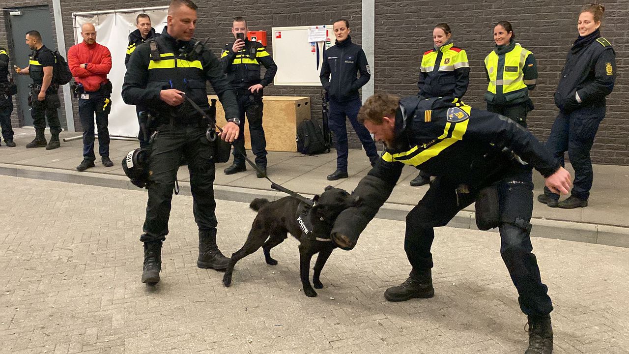 Buitenlandse politieagenten op bezoek in Noord-Limburg
