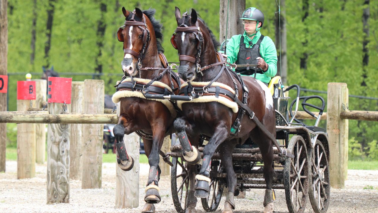 100 deelnemers uit 22 landen bij WK tweespan paarden in Kronenberg