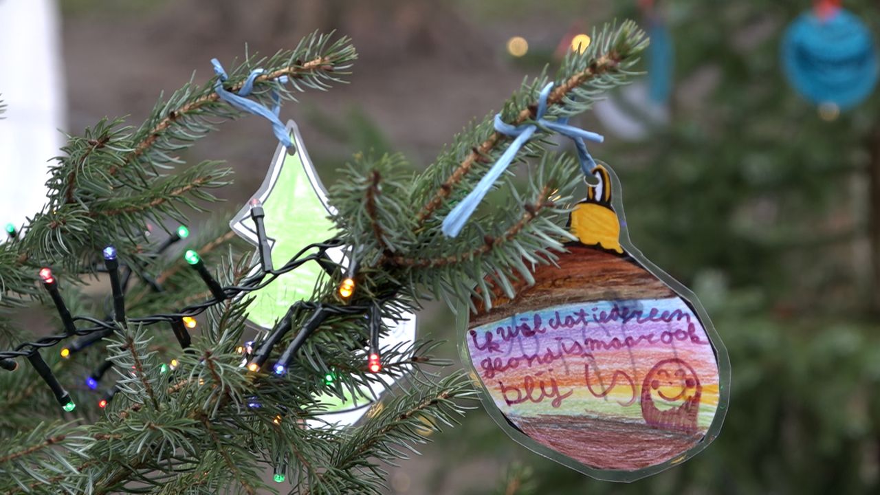 Leerlingen hangen kerstboodschappen in boom voor wijkbewoners